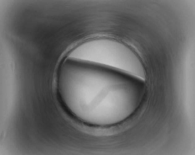 X0000114550016200910191000