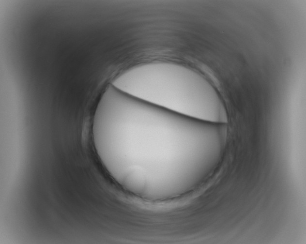 X0000114550018200910191000