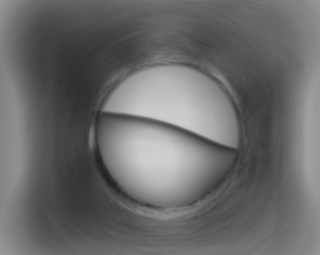 X0000114550019200910191000