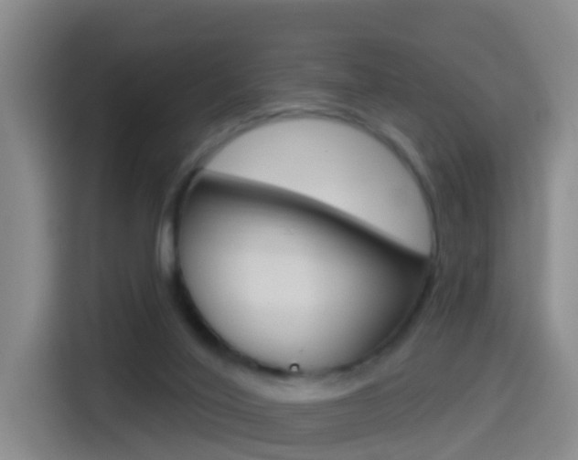 X0000114550020200910191000