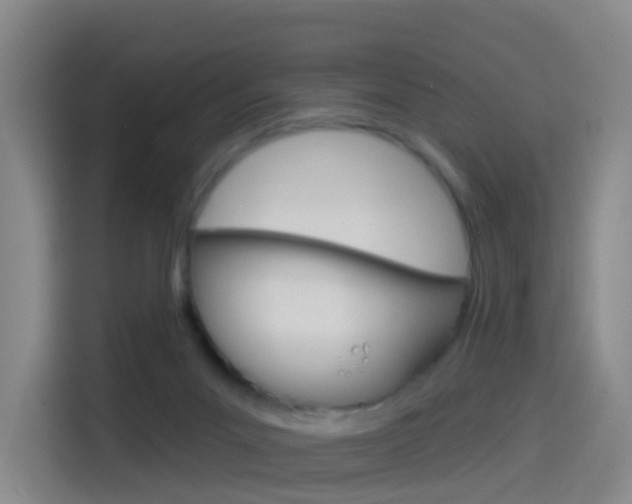 X0000114550023200910191000