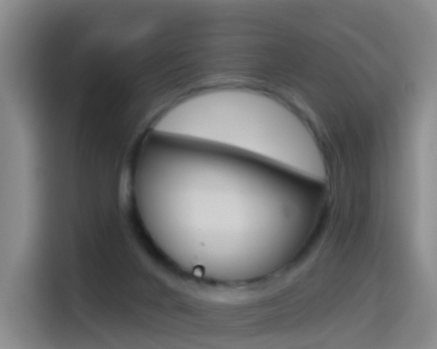 X0000114550024200910191000