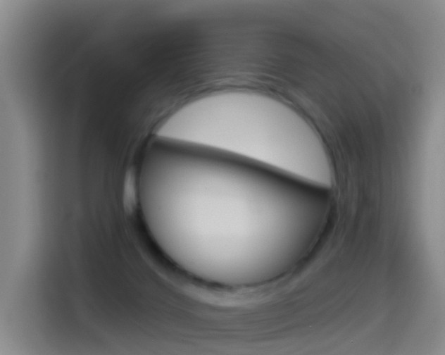 X0000114550028200910191000