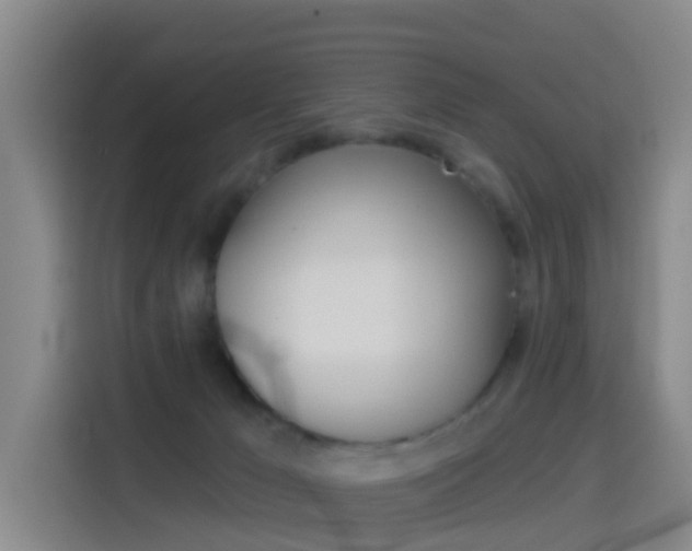 X0000114550029200910191000