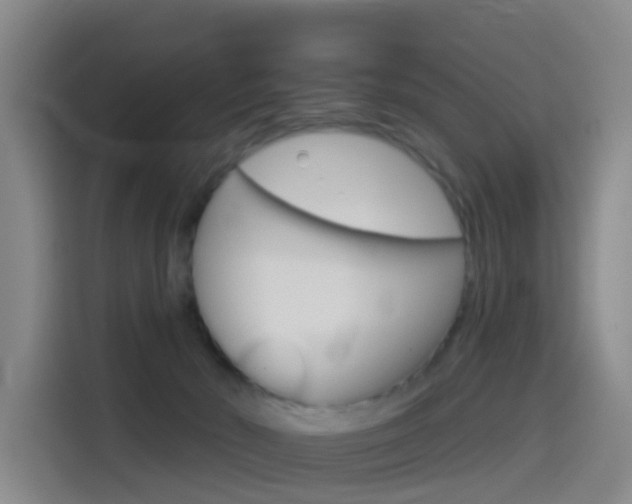 X0000114550030200910191000