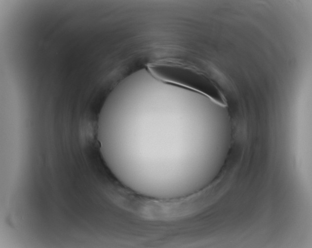 X0000114550033200910191000