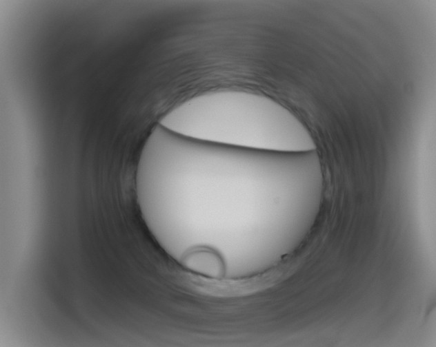 X0000114550034200910191000