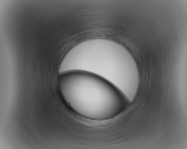 X0000114550035200910191000