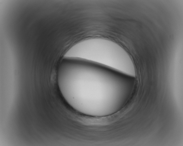 X0000114550036200910191000