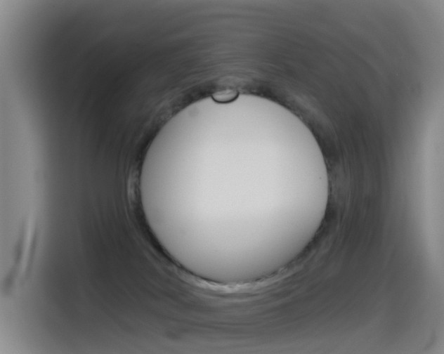 X0000114550038200910191000