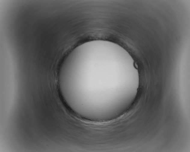 X0000114550040200910191000