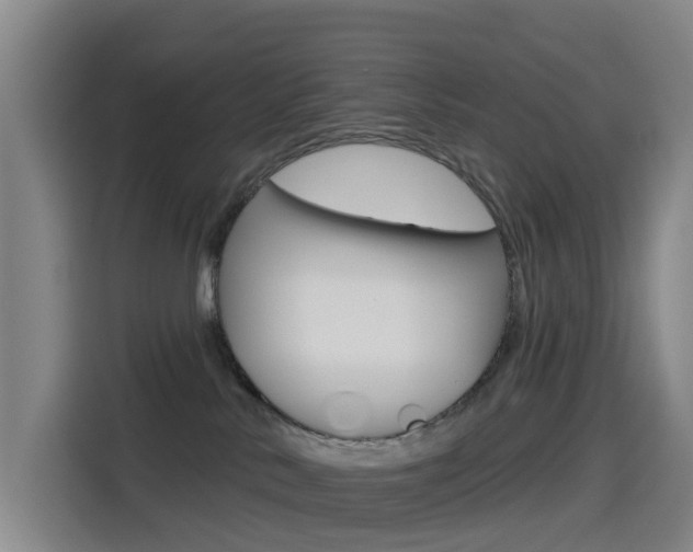 X0000114550042200910191000