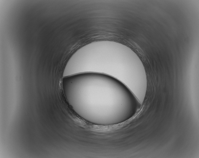 X0000114550045200910191000