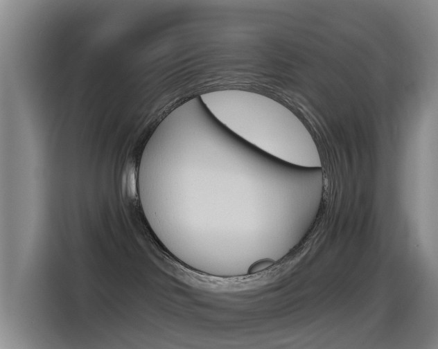 X0000114550046200910191000