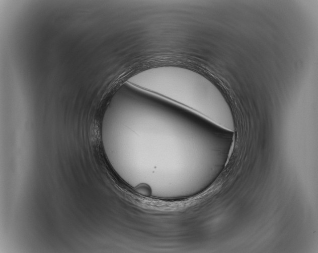 X0000114550048200910191000