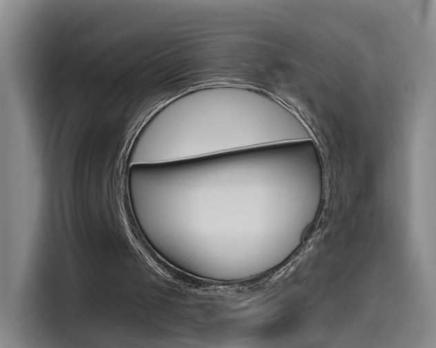 X0000114550049200910190959