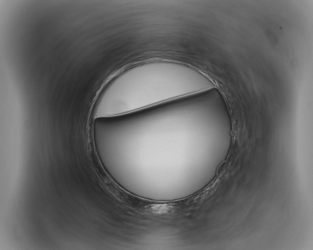X0000114550050200910190959