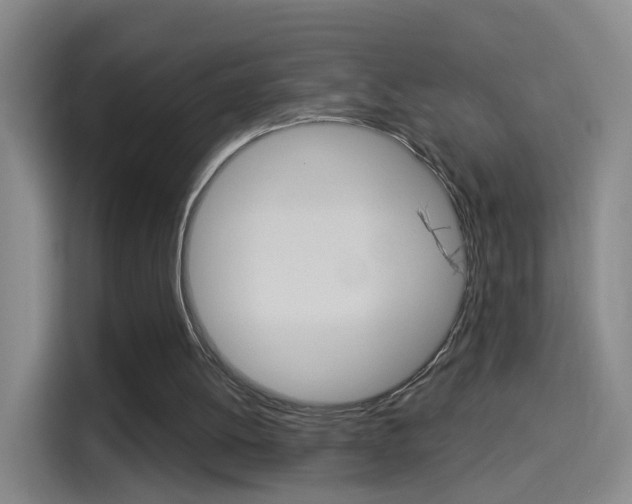 X0000114550052200910190959