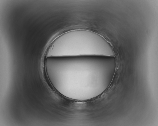 X0000114550053200910190959