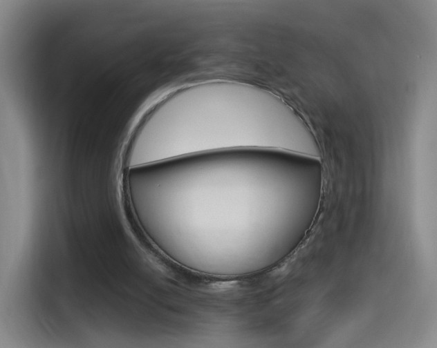 X0000114550054200910190959