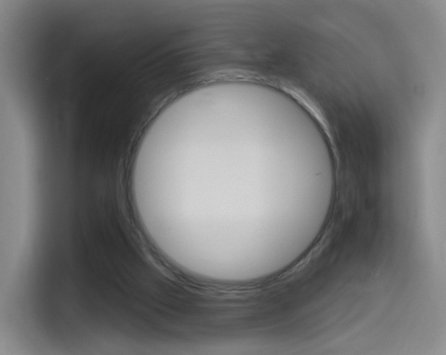 X0000114550057200910190959