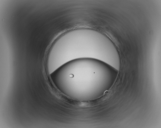 X0000114550060200910190959