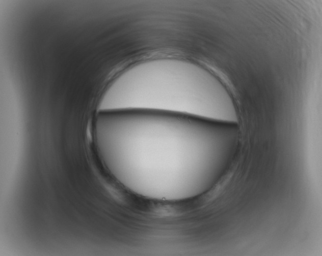 X0000114550062200910190959