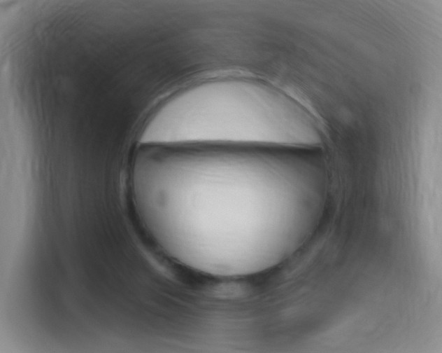 X0000114550063200910190959