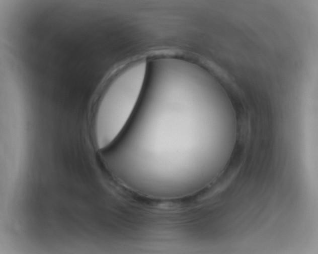 X0000114550064200910190959