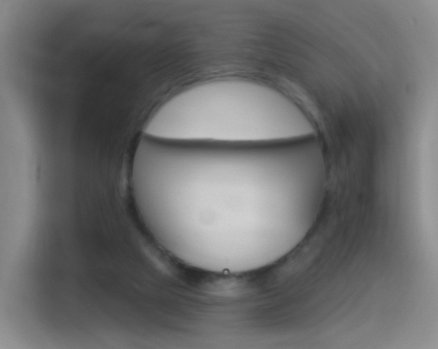 X0000114550065200910190959