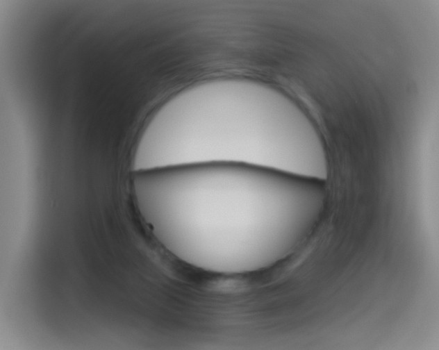 X0000114550067200910190959