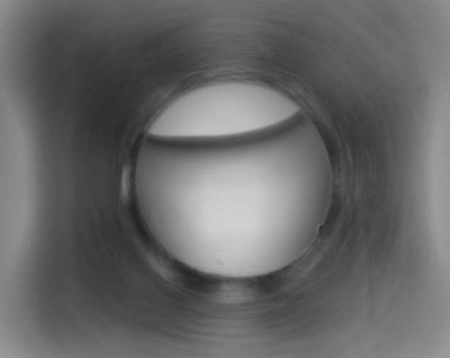 X0000114550070200910190959