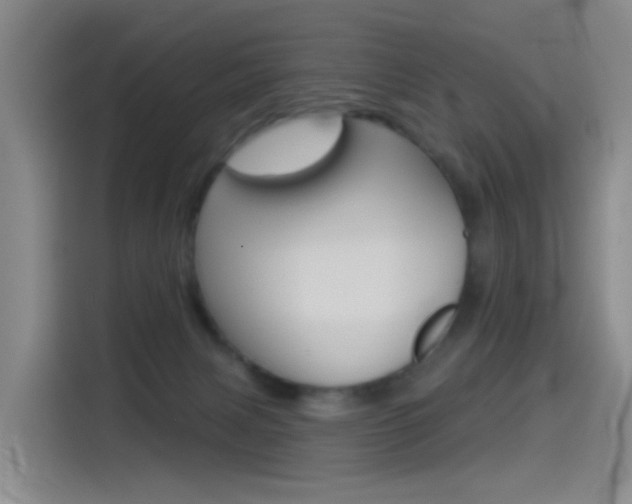 X0000114550079200910191000