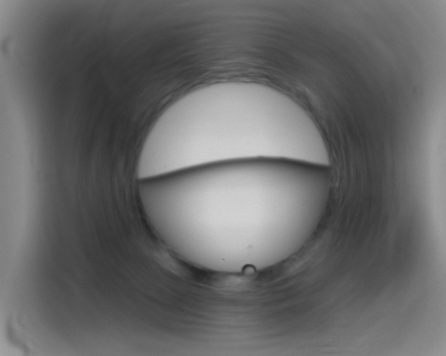 X0000114550081200910191000