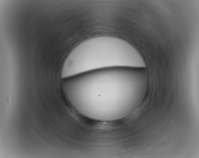 X0000114550082200910191000