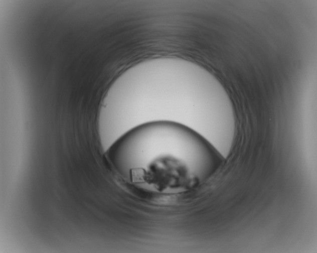 X0000114550084200910191000