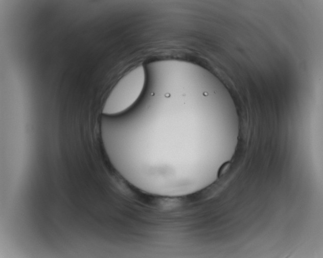 X0000114550085200910191000