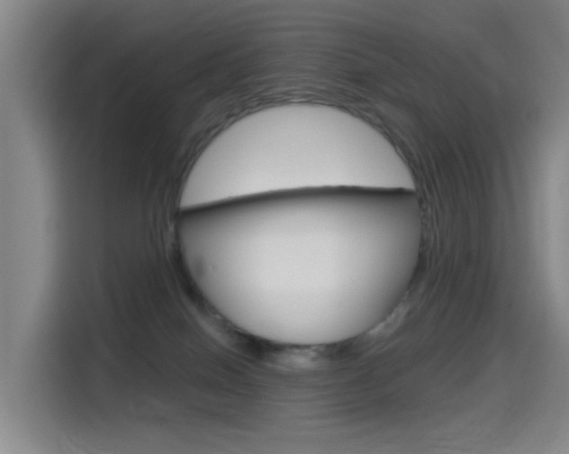 X0000114550086200910191000