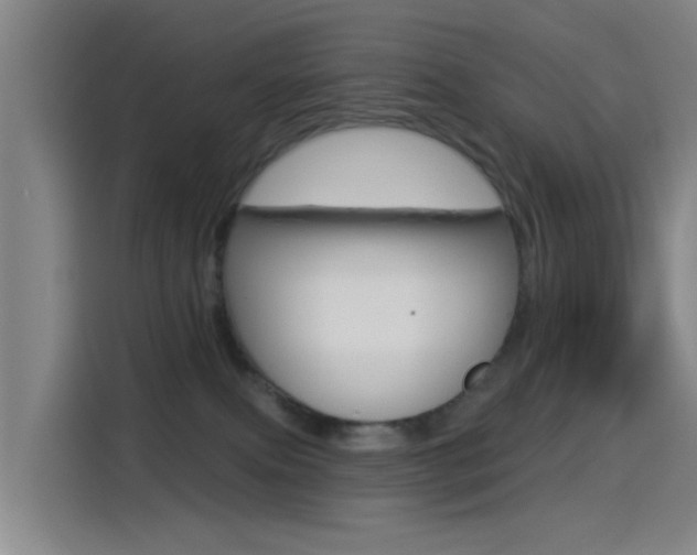 X0000114550087200910191000