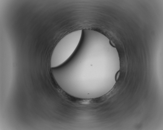 X0000114550090200910191000