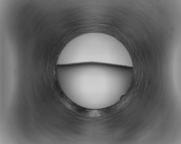 X0000114550091200910191000