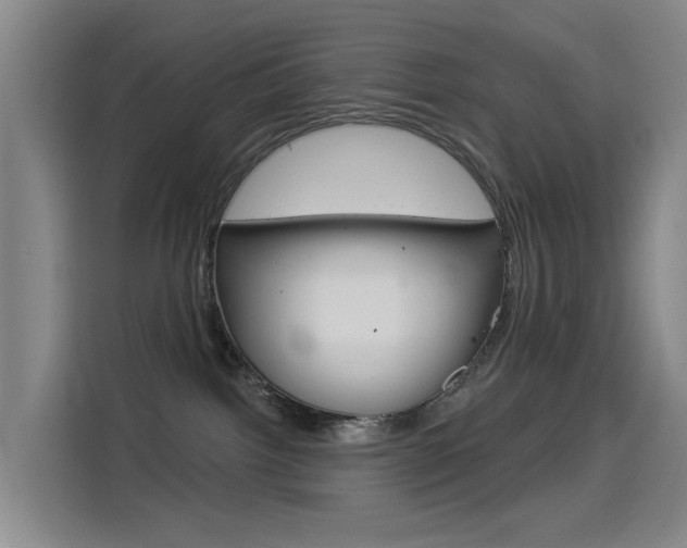 X0000114550092200910191000