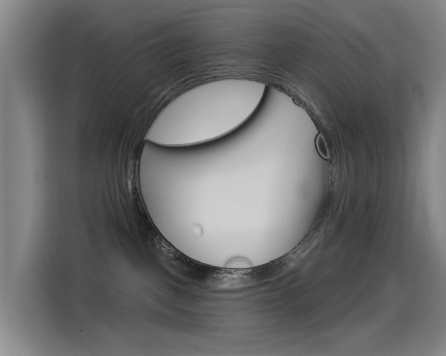X0000114550093200910191000