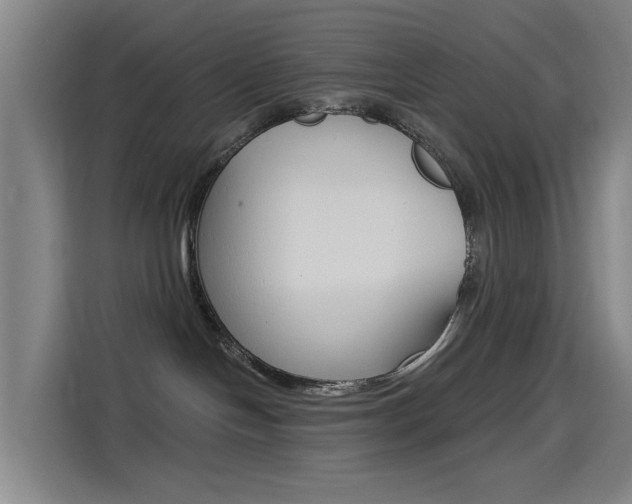 X0000114550094200910191000