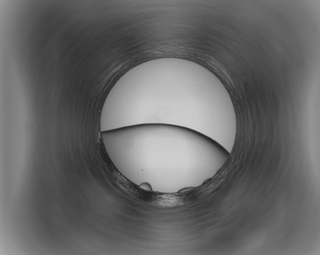 X0000114550095200910191000