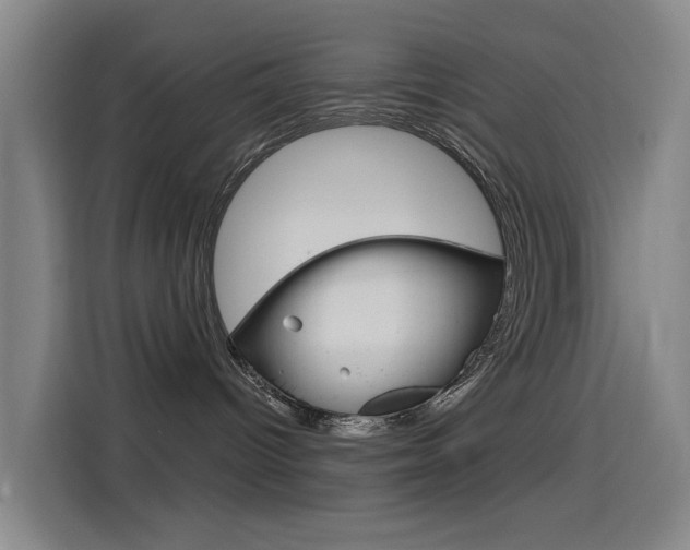 X0000114550096200910191000