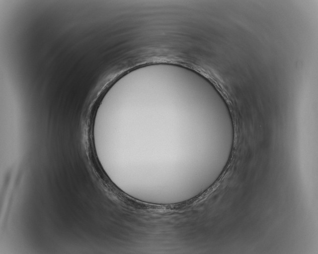 X0000114550098200910190959