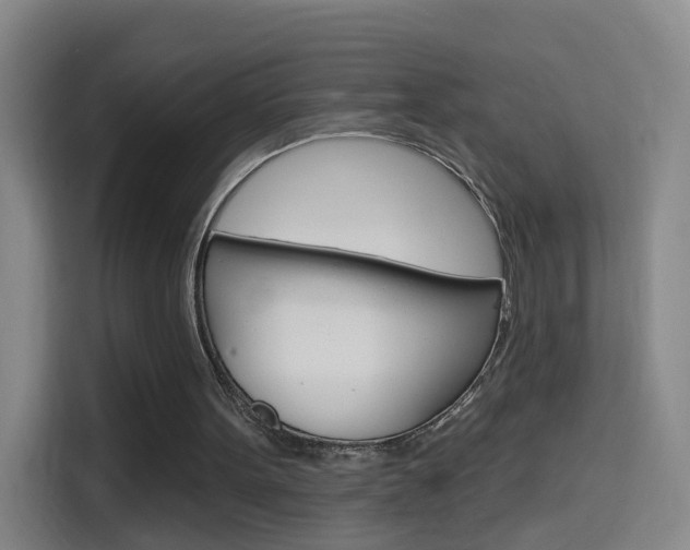 X0000114550099200910190959
