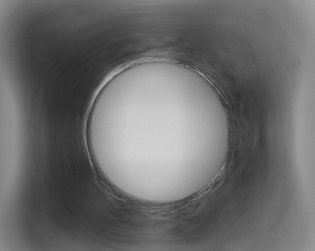 X0000114550100200910190959