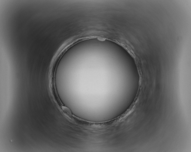 X0000114550101200910190959